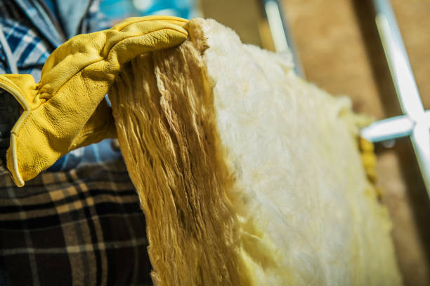Best Spray Foam Insulation  in South Hutchinson, KS